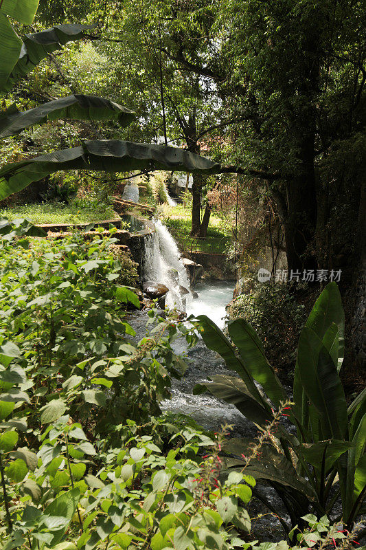 Uruapan, cupatitzi的barranca。